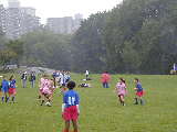 Click to see P9230069.JPG